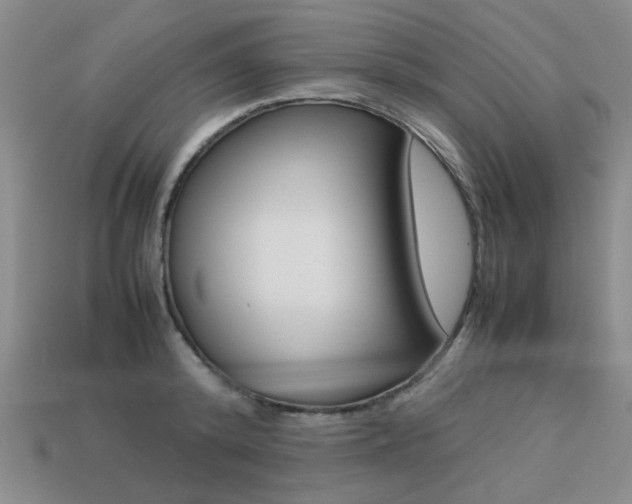 X0000113260800200909101249