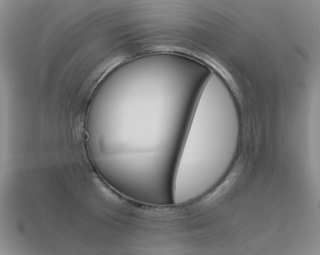 X0000113260801200909101249