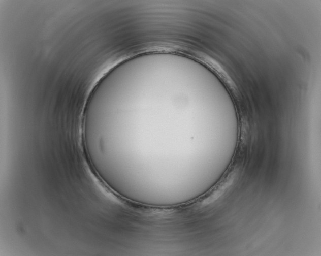 X0000113260802200909101249