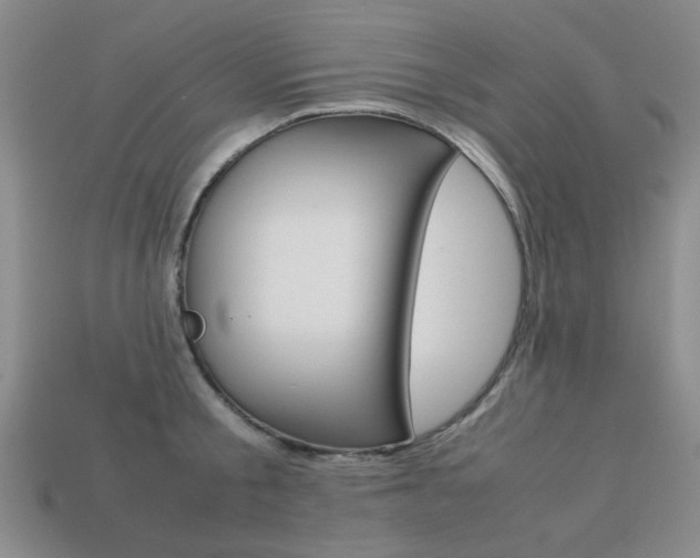 X0000113260805200909101249