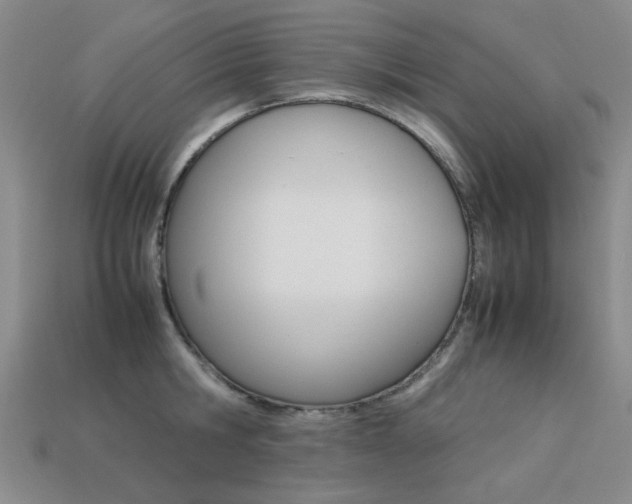 X0000113260806200909101249