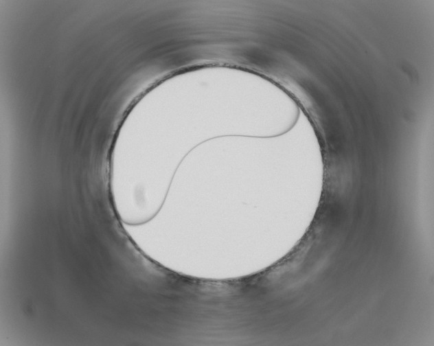 X0000113260807200909101249