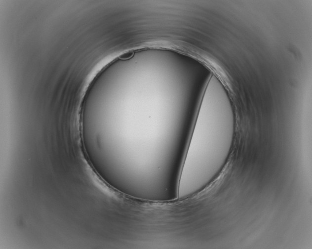 X0000113260808200909101249