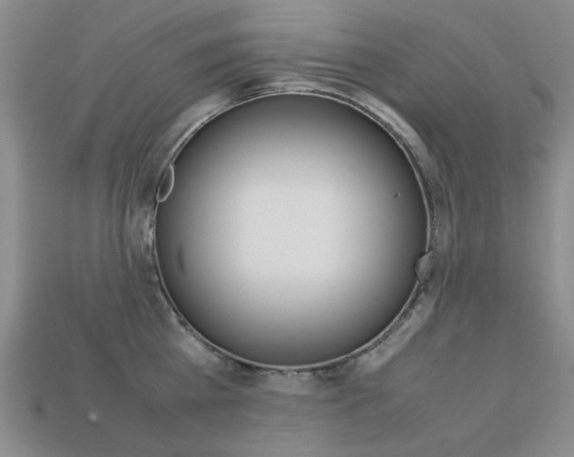 X0000113260809200909101249