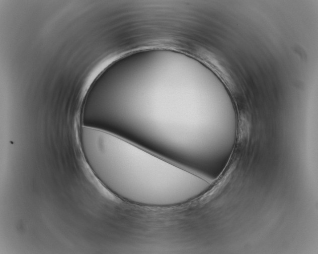 X0000113260812200909101249