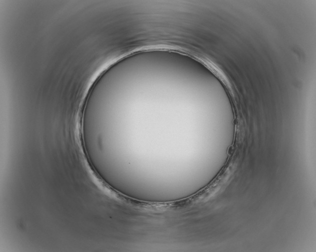 X0000113260813200909101249