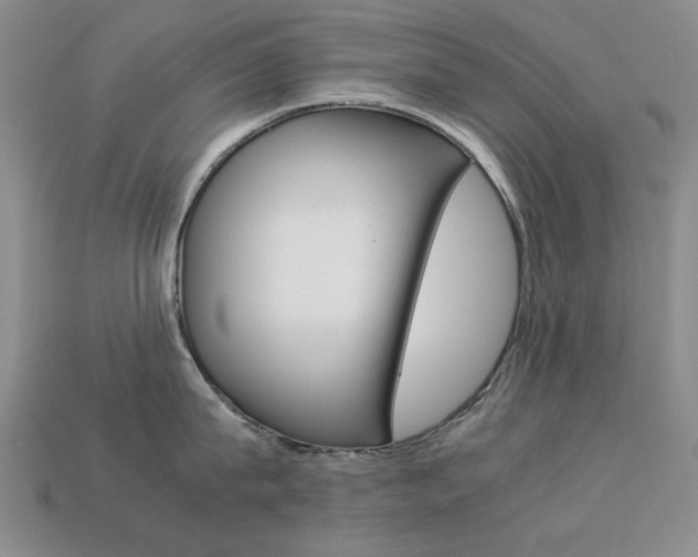 X0000113260815200909101249