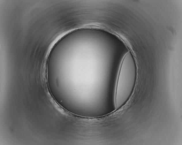 X0000113260816200909101249