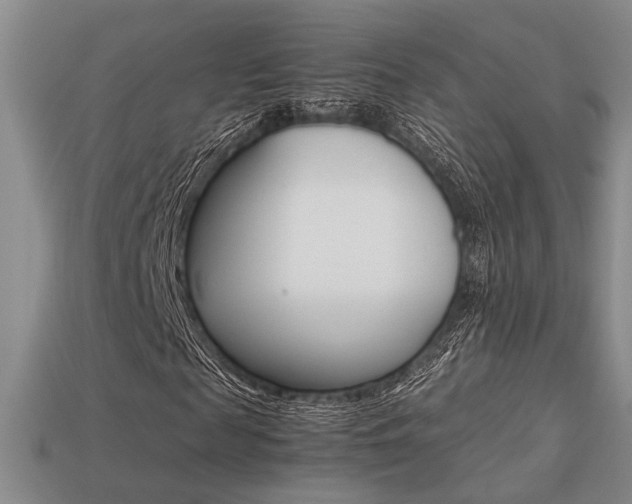 X0000113260817200909101248