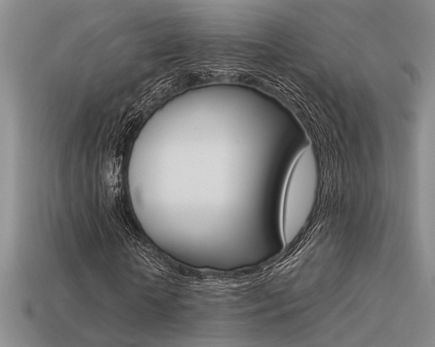 X0000113260818200909101248