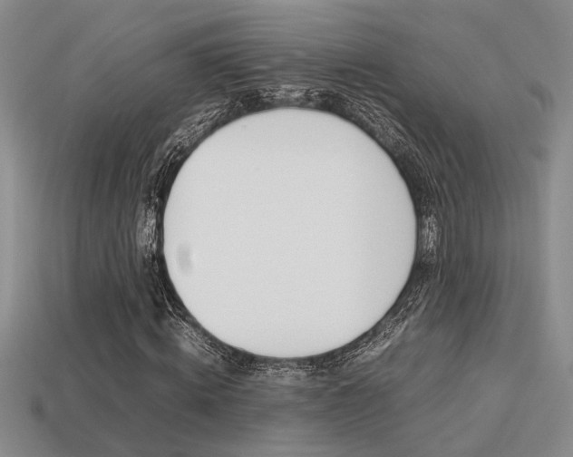 X0000113260820200909101248