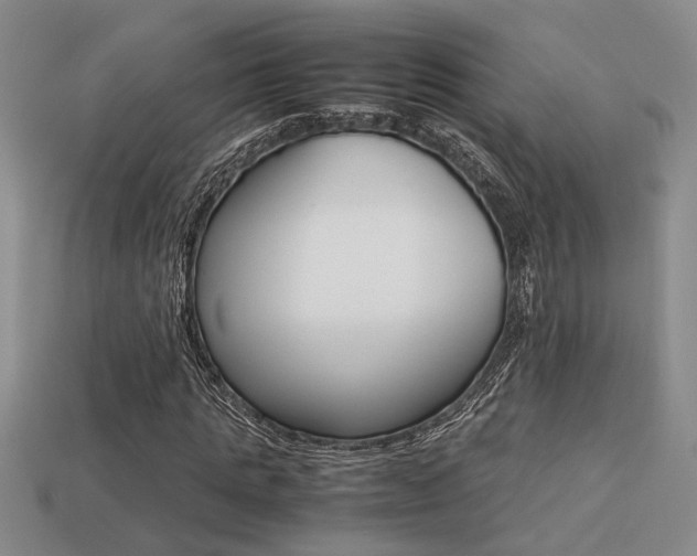 X0000113260821200909101248
