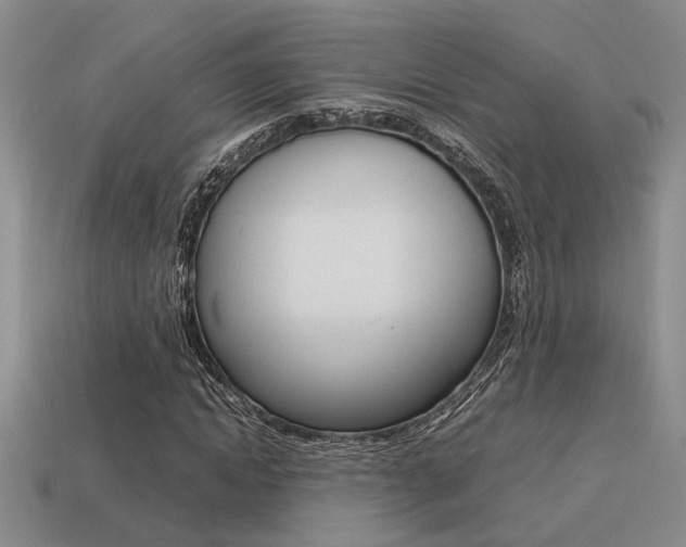 X0000113260822200909101248