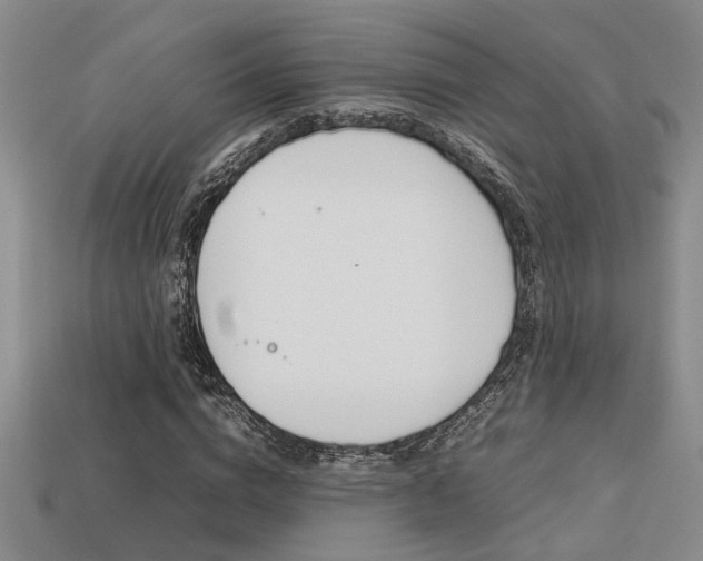 X0000113260824200909101248