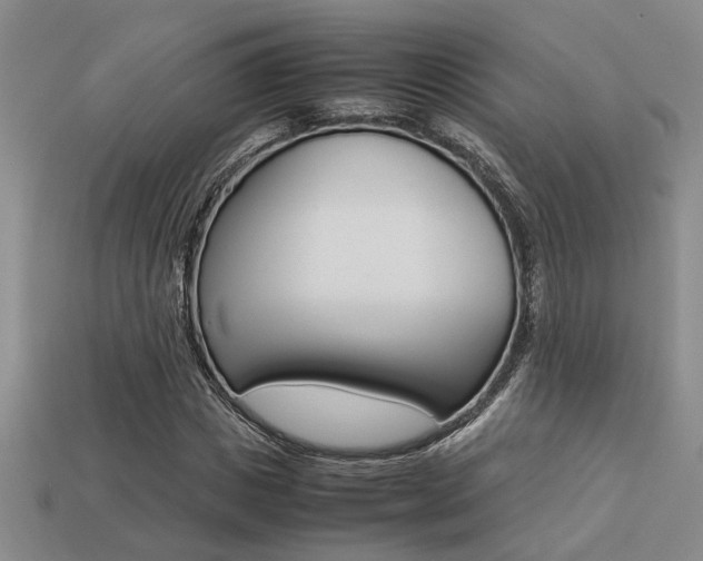 X0000113260825200909101248