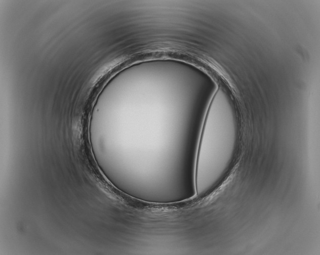 X0000113260826200909101248