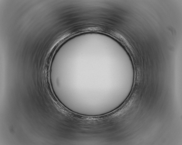 X0000113260827200909101248