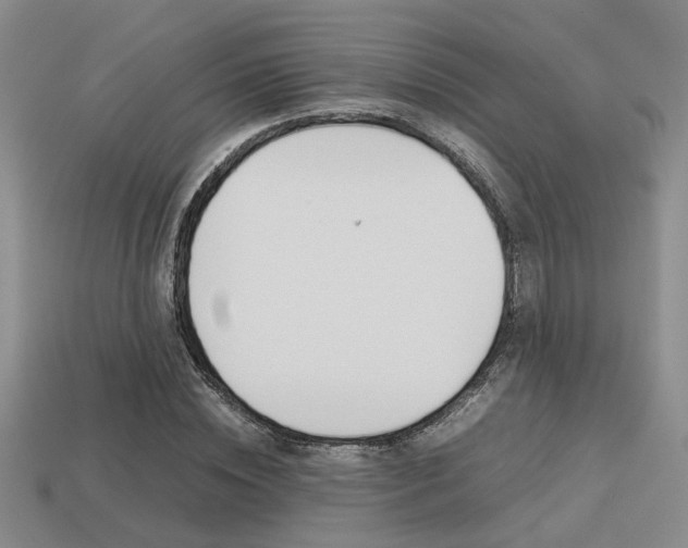 X0000113260828200909101248