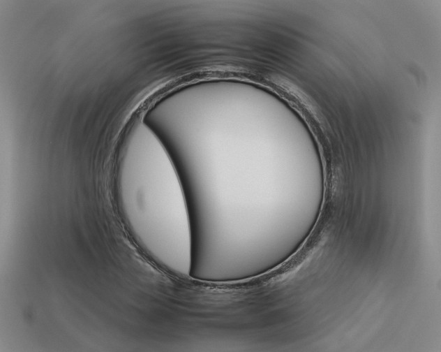 X0000113260829200909101248