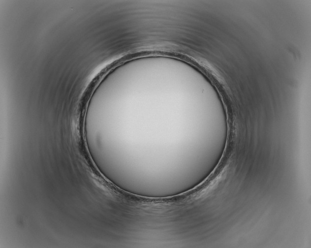 X0000113260830200909101248