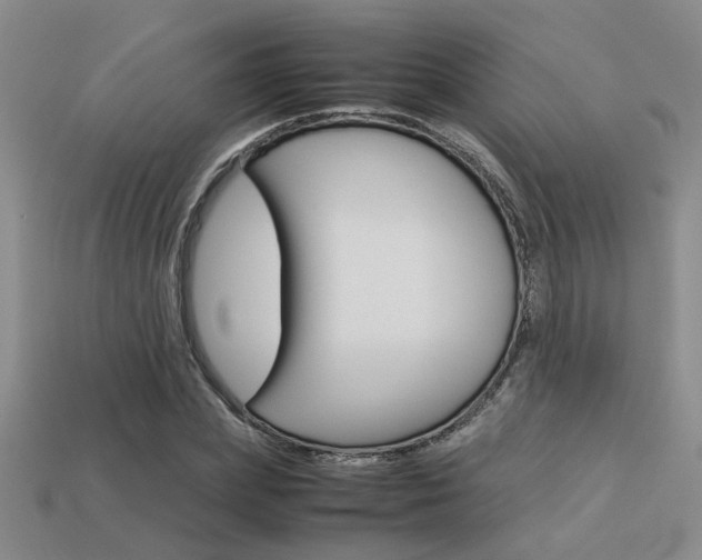 X0000113260831200909101248