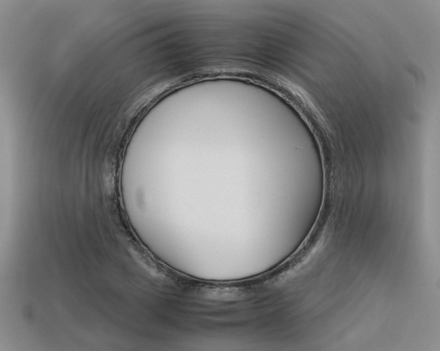 X0000113260833200909101248