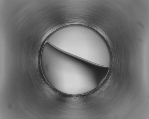 X0000113260834200909101248