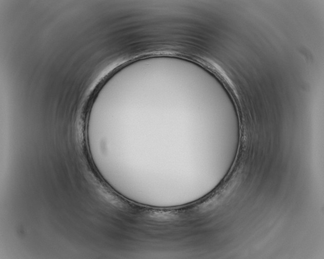 X0000113260835200909101248