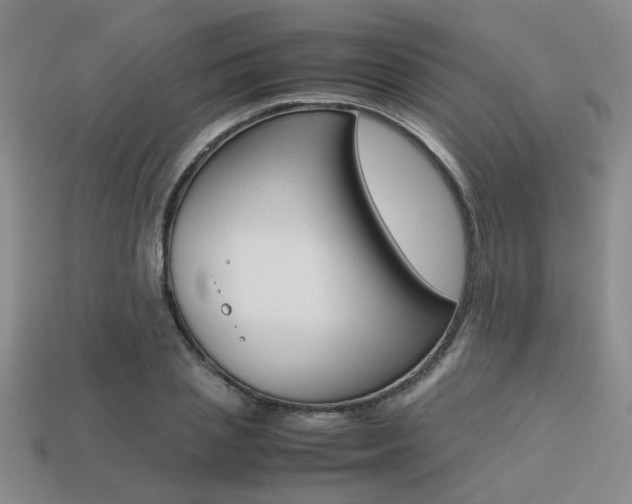 X0000113260837200909101248