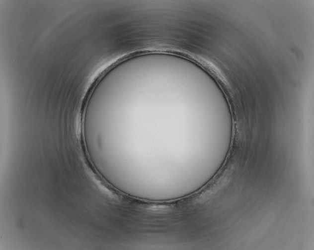 X0000113260839200909101248