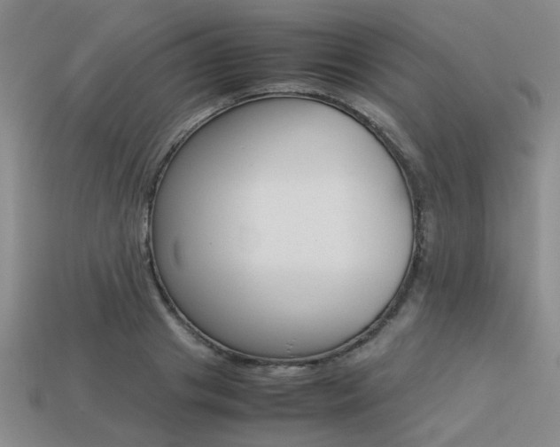 X0000113260841200909101248