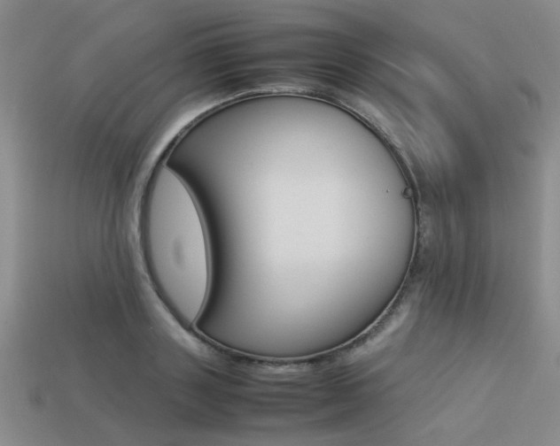 X0000113260843200909101248
