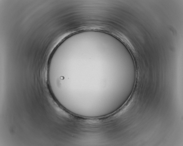 X0000113260844200909101248