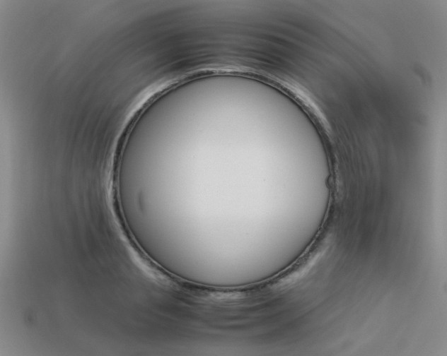 X0000113260845200909101248