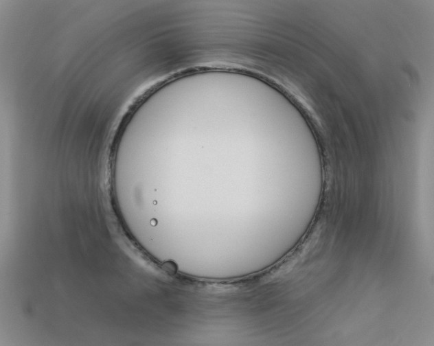 X0000113260848200909101248