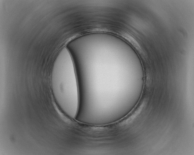X0000113260849200909101248
