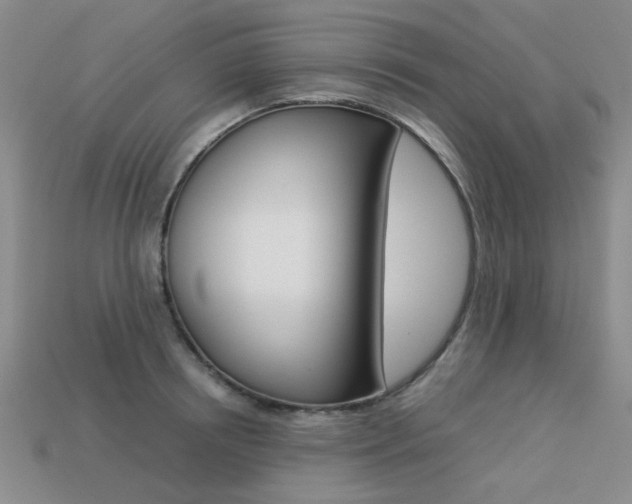 X0000113260850200909101248