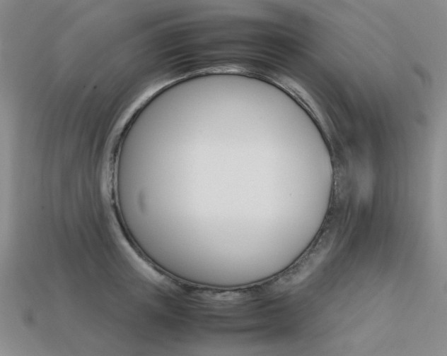 X0000113260851200909101248