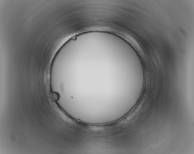 X0000113260852200909101248