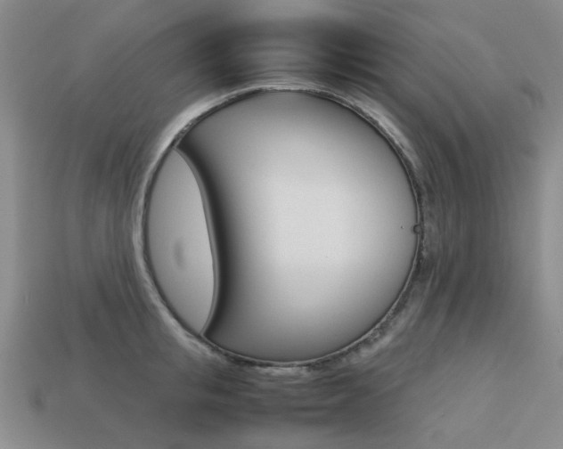 X0000113260853200909101248