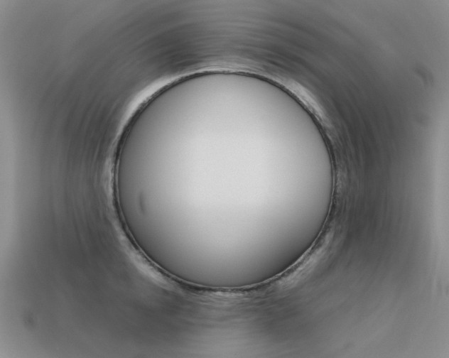 X0000113260854200909101248