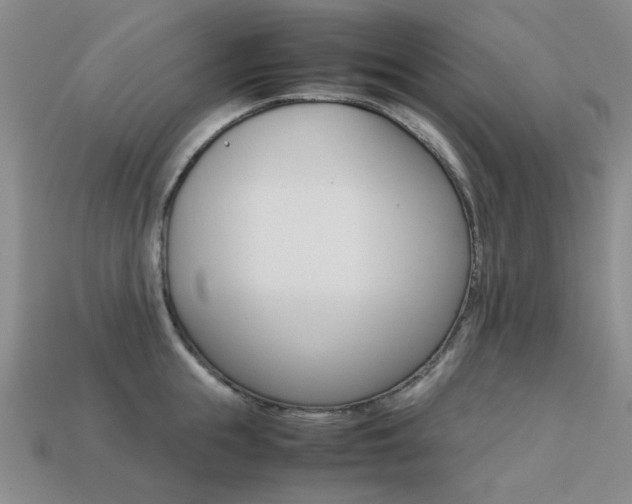 X0000113260855200909101248