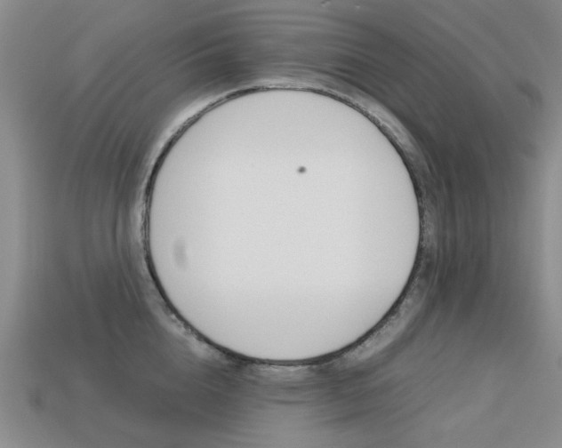 X0000113260856200909101248