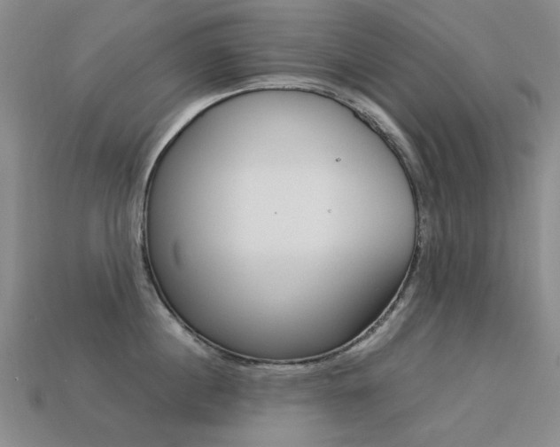 X0000113260860200909101249