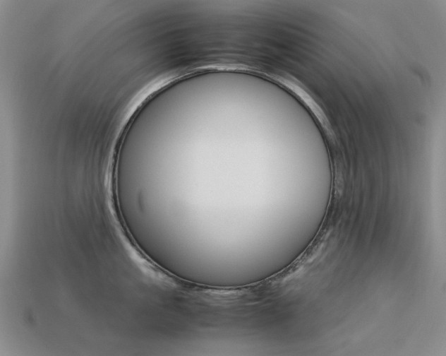 X0000113260861200909101249