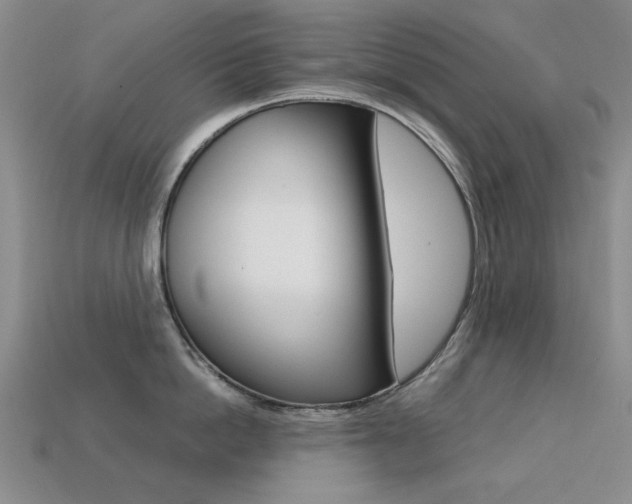 X0000113260862200909101249