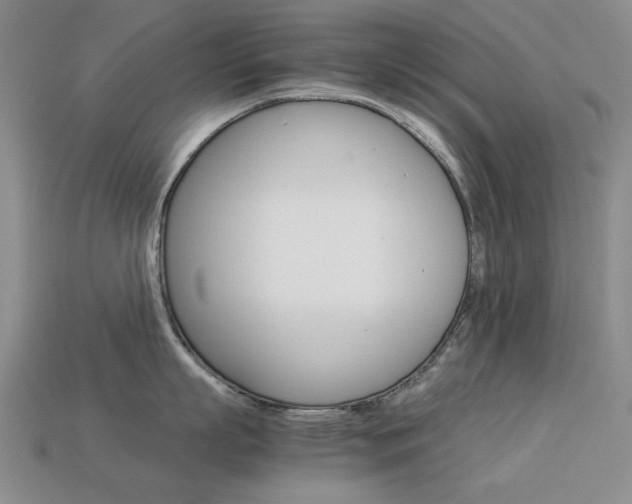 X0000113260863200909101249