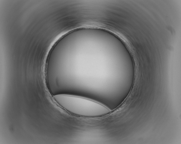 X0000113260864200909101249