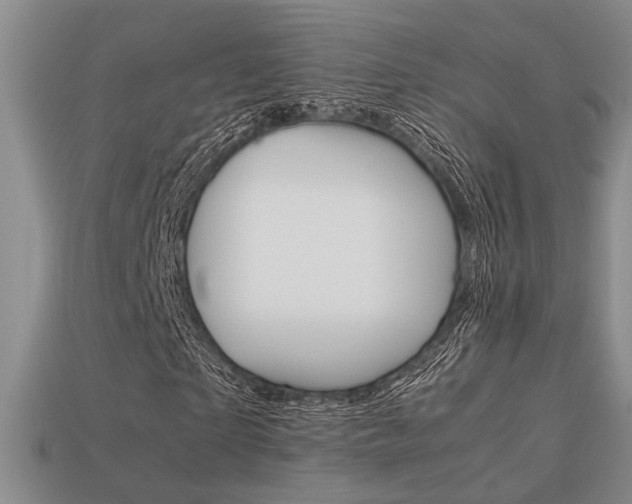 X0000113260865200909101248