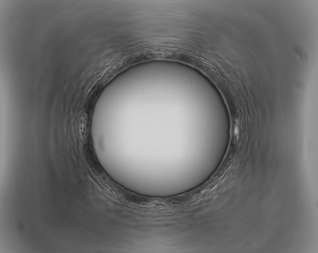 X0000113260867200909101248